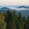 Itä-Suomi