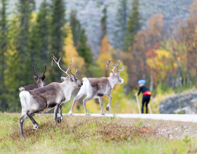 Äkäslompolo - Kolari - Kylät - Lappi - Kylään.fi - Kylämatkailun tietopankki