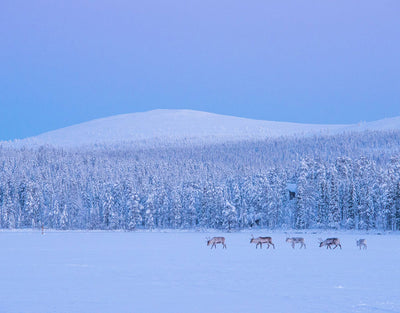 Äkäslompolo - Kolari - Kylät - Lappi - Kylään.fi - Kylämatkailun tietopankki