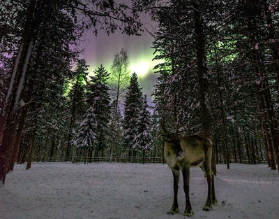 Äkäslompolo - Kolari - Kylät - Lappi - Kylään.fi - Kylämatkailun tietopankki