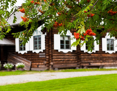 Ilomantsin Pogosta - Kylät - Pohjois-Karjala - Kylään.fi - Kylämatkailun tietopankki