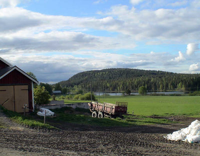 Hiltulanlahti - Kuopio - Kylät - Pohjois-Savo - Kylään.fi - Kylämatkailun tietopankki