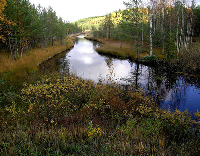 Leppälahti - Liperi - Kylät - Pohjois-Karjala - Kylään.fi - Kylämatkailun tietopankki