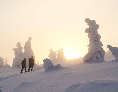 7 Fells Hostel - Äkäslompolo - Majoitus - Lappi - Kylään.fi - Kylämatkailun tietopankki