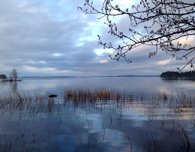 Paksuniemen Kesäkeidas - Rääkkylä - Majoitus - Pohjois-Karjala - Kylään.fi - Kylämatkailun tietopankki