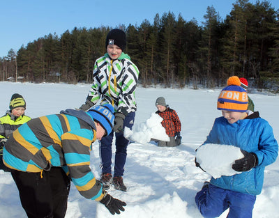 Koli-Vuonislahti Jäätie tutuksi tapahtuma - Lieksa - Tapahtumat & Teatterit - Pohjois-Karjala - Kylään.fi - Kylämatkailun tietopankki