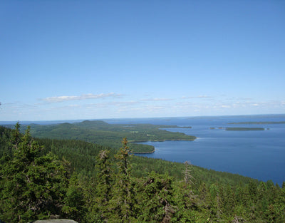 Koli Freetime - Juuka - Majoitus - Pohjois-Karjala - Kylään.fi - Kylämatkailun tietopankki