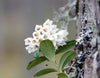 Möhkö - Ilomantsi - Kylät - Pohjois-Karjala - Kylään.fi - Kylämatkailun tietopankki