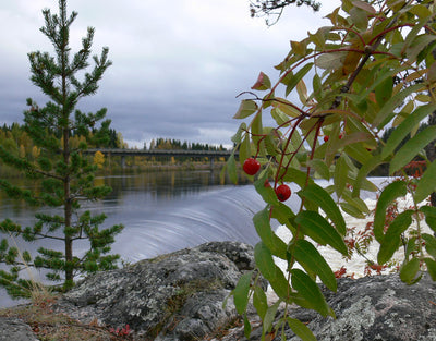 Yläkemijoen Kylämarkkinat - Rovaniemi - Tapahtumat & Teatterit - Lappi - Kylään.fi - Kylämatkailun tietopankki