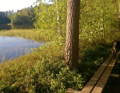 Tammela - Kylät - Kanta-Häme - Kylään.fi - Kylämatkailun tietopankki