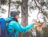 Ylläsjärvi - Kolari - Kylät - Lappi - Kylään.fi - Kylämatkailun tietopankki