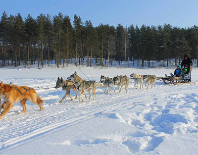 Koli-Vuonislahti Jäätie tutuksi tapahtuma - Lieksa