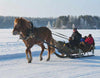 Koli-Vuonislahti Jäätie tutuksi tapahtuma - Lieksa