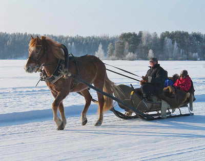 Koli-Vuonislahti Jäätie tutuksi tapahtuma - Lieksa