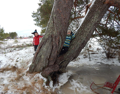 Kuusaa-Jokela - Tulppo - Kylät - Pohjois-Pohjanmaa - Kylään.fi - Kylämatkailun tietopankki