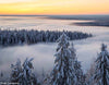Vuonislahden kyläseura - Lieksa
