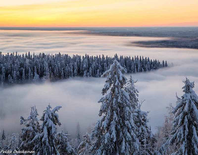 Vuonislahden kyläseura - Lieksa